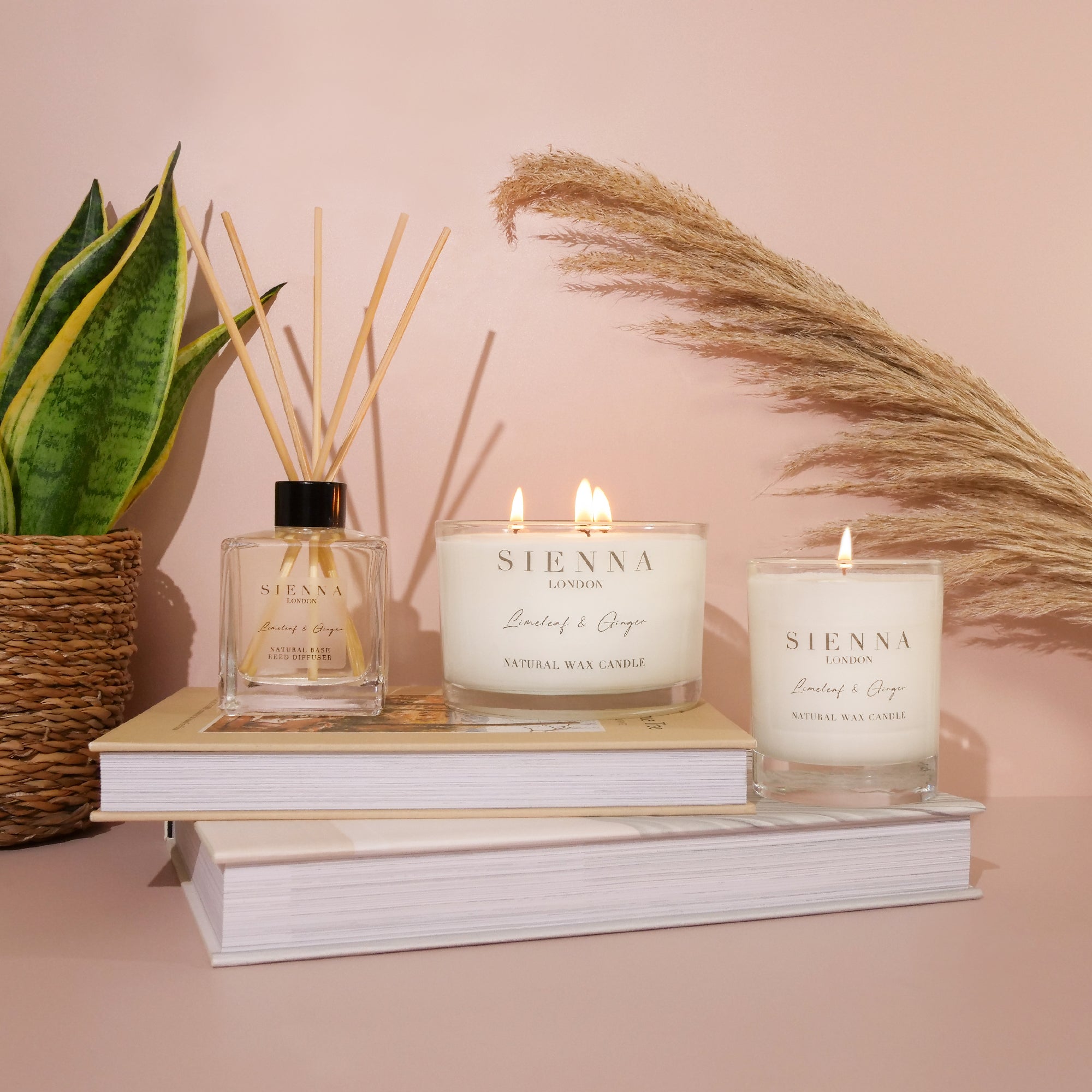 Limeleaf & Ginger 3 Wick Jumbo Candle 12cm x 8cm